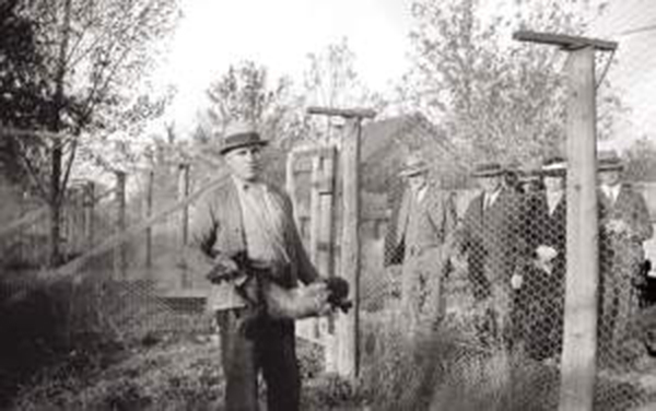 Historical Photo from Town Hamburg, Marathon County