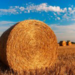 large round bale in Town of Hamburg, Marathon County, Wisconsin